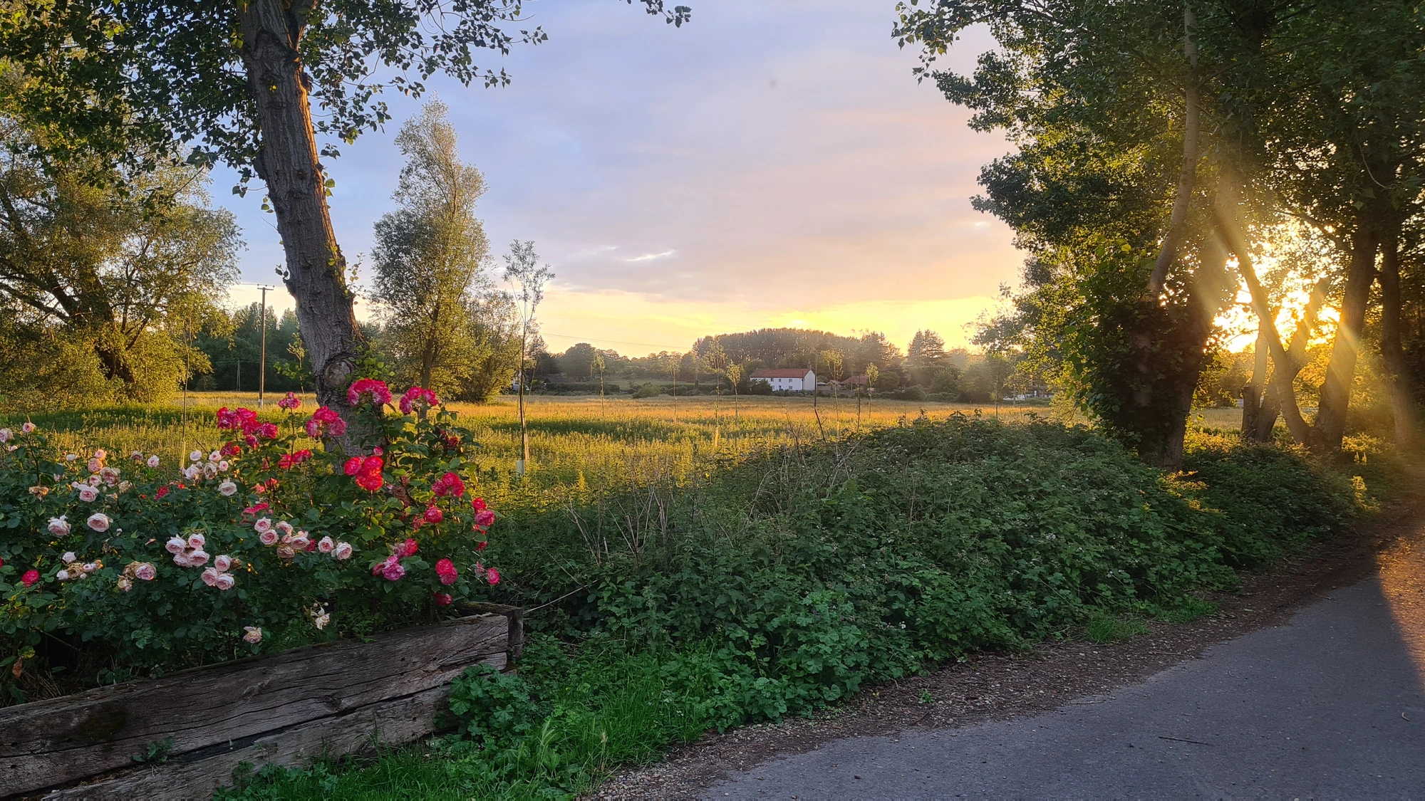 Riverside view at sunset near The Black Swan